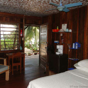 Photos